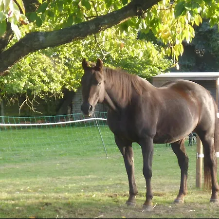 アパート Auszeit Landleben *