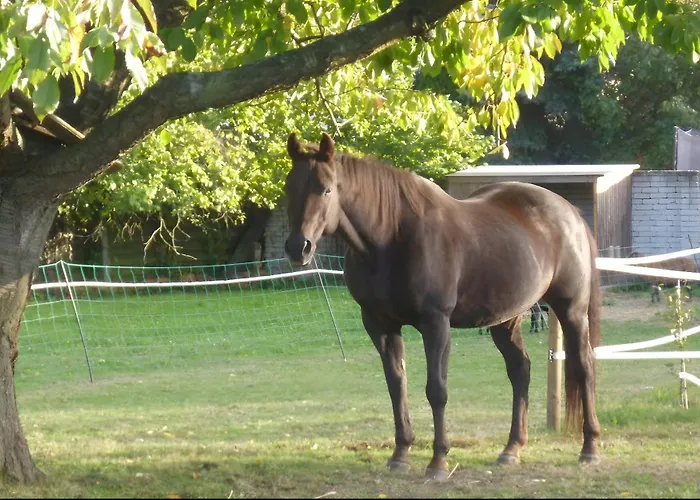 アパート Auszeit Landleben *